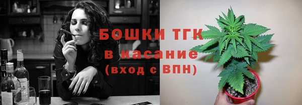 дурь Сосновый Бор