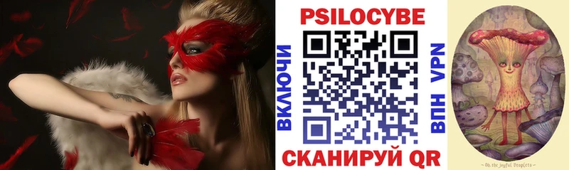Галлюциногенные грибы Cubensis Белово