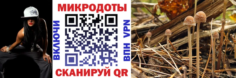 Псилоцибиновые грибы GOLDEN TEACHER  Купить где  Белово 